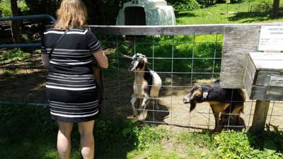 On the way to Mystic, CT Julie and I stopped at Sugarbush Farms.  You can't be in Vermont and not learn about maple syru
