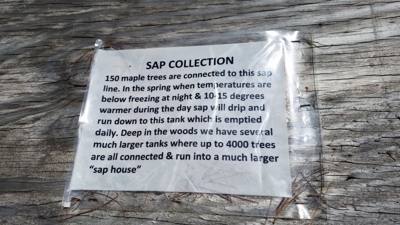 On the way to Mystic, CT Julie and I stopped at Sugarbush Farms.  You can't be in Vermont and not learn about maple syru