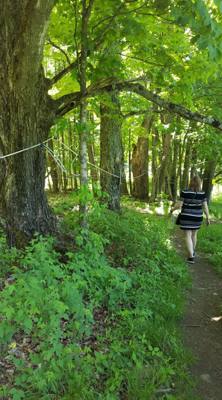 On the way to Mystic, CT Julie and I stopped at Sugarbush Farms.  You can't be in Vermont and not learn about maple syru