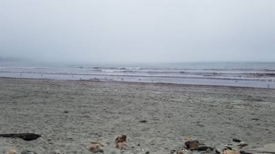 Julie and I took a foggy stroll along Cliff Walk in Newport, RI this morning. Beautiful cliffs on one side, historic man