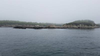 Julie and I got the opportunity to go on a sail on the Aquidneck out of Newport, RI.  Not much wind.  Fun time though an