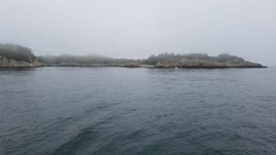 Julie and I got the opportunity to go on a sail on the Aquidneck out of Newport, RI.  Not much wind.  Fun time though an