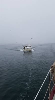 Julie and I got the opportunity to go on a sail on the Aquidneck out of Newport, RI.  Not much wind.  Fun time though an