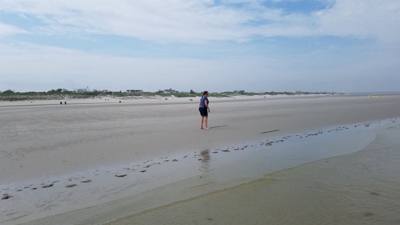 Okay, by far the best beach has been Mayflower Beach.  Low tide let's you walk WAAAAY out there.  Perfect 70+ degree wea