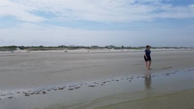 Okay, by far the best beach has been Mayflower Beach.  Low tide let's you walk WAAAAY out there.  Perfect 70+ degree wea