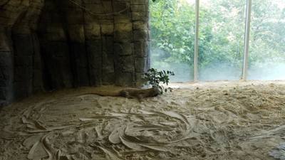 Travel photo