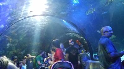 First on our Virginia Beach agenda for today was the Virginia Aquarium & Marine Science Center.  It was okay as far as a