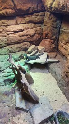 Travel photo