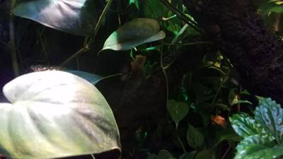 Travel photo