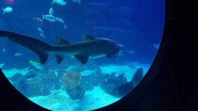 Travel photo