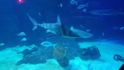 Travel photo