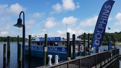 So the dolphin watching wasn't on our agenda....but the Virginia Aquarium & Marine Science Center had it....so we did it