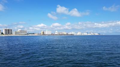So the dolphin watching wasn't on our agenda....but the Virginia Aquarium & Marine Science Center had it....so we did it