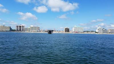 So the dolphin watching wasn't on our agenda....but the Virginia Aquarium & Marine Science Center had it....so we did it
