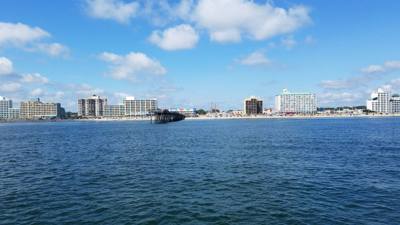 So the dolphin watching wasn't on our agenda....but the Virginia Aquarium & Marine Science Center had it....so we did it