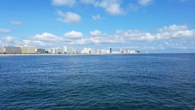 So the dolphin watching wasn't on our agenda....but the Virginia Aquarium & Marine Science Center had it....so we did it