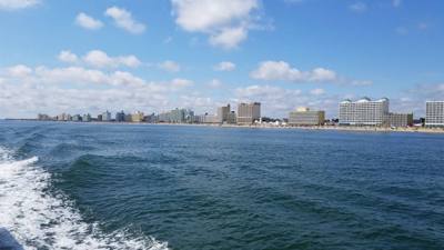 So the dolphin watching wasn't on our agenda....but the Virginia Aquarium & Marine Science Center had it....so we did it