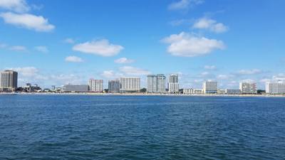 So the dolphin watching wasn't on our agenda....but the Virginia Aquarium & Marine Science Center had it....so we did it