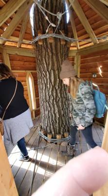 The last half of Saturday's Nebraska City adventure was the Arbor Day Farm Treetop Adventure.  Yes, my daughter wigs out