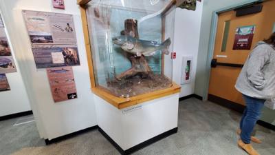 On the way out from Nebraska City we stopped by the Lewis and Clark center.  Interesting...and walked off that breakfast