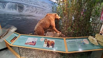 On the way out from Nebraska City we stopped by the Lewis and Clark center.  Interesting...and walked off that breakfast
