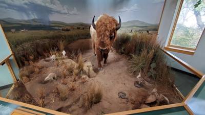 On the way out from Nebraska City we stopped by the Lewis and Clark center.  Interesting...and walked off that breakfast