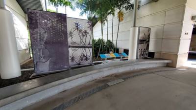 Travel photo