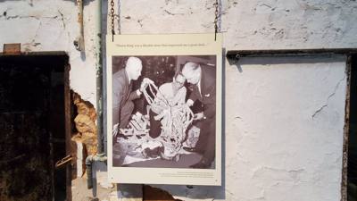 Travel photo