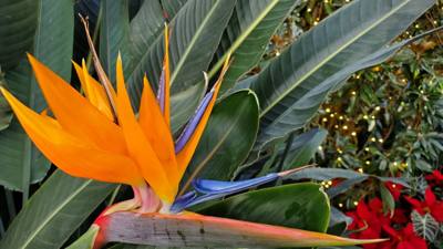 One of the must-see attractions in the area we visited was Longwood Gardens located in Kennett Square, Pennsylvania. The