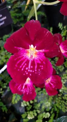 Travel photo