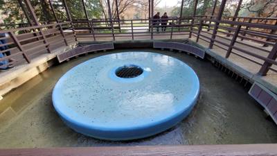 One of the must-see attractions in the area we visited was Longwood Gardens located in Kennett Square, Pennsylvania. The