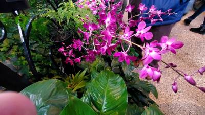 Travel photo