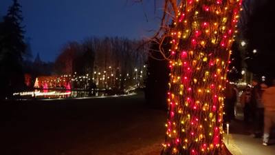 This is Part 2 of our Longwood Gardens post.