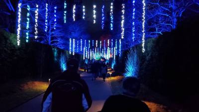 Travel photo