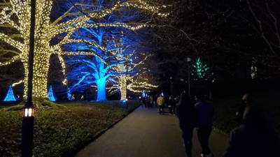 This is Part 2 of our Longwood Gardens post.