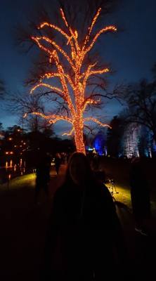 Travel photo
