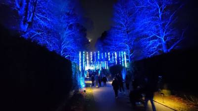 This is Part 2 of our Longwood Gardens post.
