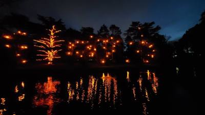 This is Part 2 of our Longwood Gardens post.