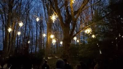 Travel photo