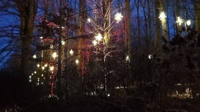 This is Part 2 of our Longwood Gardens post.