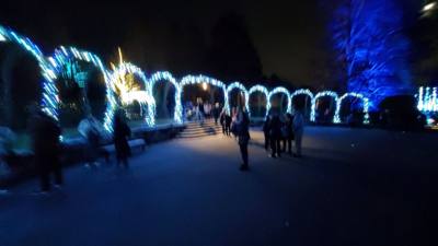 This is Part 2 of our Longwood Gardens post.