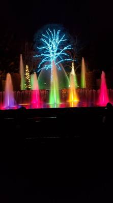 This is Part 2 of our Longwood Gardens post.