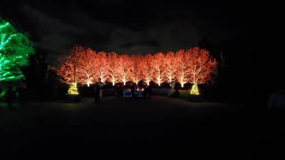 This is Part 2 of our Longwood Gardens post.