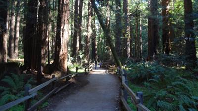 Travel photo