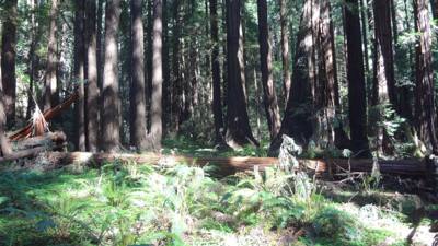 Travel photo