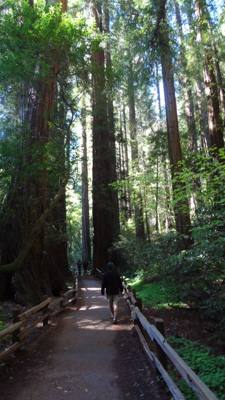 Travel photo