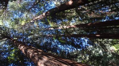 Travel photo
