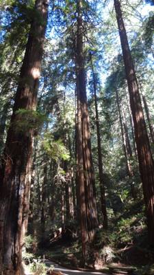 Travel photo