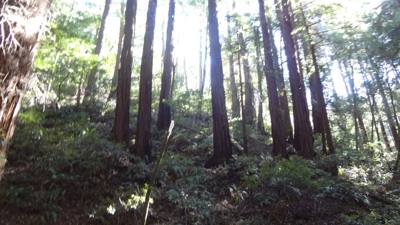 Travel photo
