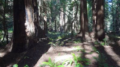 Travel photo